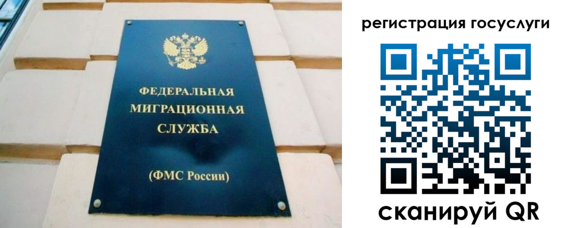 временная регистрация в Борзе